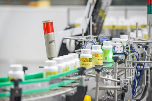 走進(jìn)新國(guó)企探索新實(shí)踐 從科技賦能到創(chuàng)新服務(wù)的綠色發(fā)展路徑