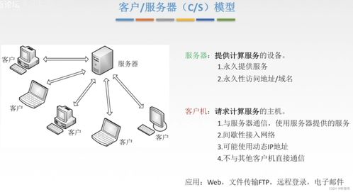 計(jì)算機(jī)網(wǎng)絡(luò)基礎(chǔ)第六章 計(jì)算機(jī)軟硬件及網(wǎng)絡(luò)技術(shù)開發(fā)